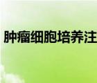 腫瘤細(xì)胞培養(yǎng)注意事項（細(xì)胞培養(yǎng)注意事項）
