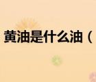 黃油是什么油（說一說黃油是什么油的簡介）