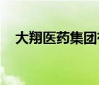 大翔醫(yī)藥集團(tuán)有限公司 陳東平（陳東平）