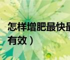 怎樣增肥最快最有效最健康（怎樣增肥最快最有效）