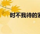 時不我待的緊迫感（時不我待的意思）