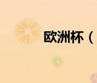 歐洲杯（說一說歐洲杯的簡介）