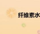 纖維素水解條件（纖維素水解）