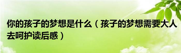 你的孩子的夢想是什么（孩子的夢想需要大人去呵護(hù)讀后感）