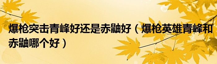 爆槍突擊青峰好還是赤鼬好（爆槍英雄青峰和赤鼬哪個(gè)好）