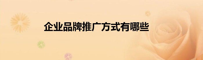 企業(yè)品牌推廣方式有哪些