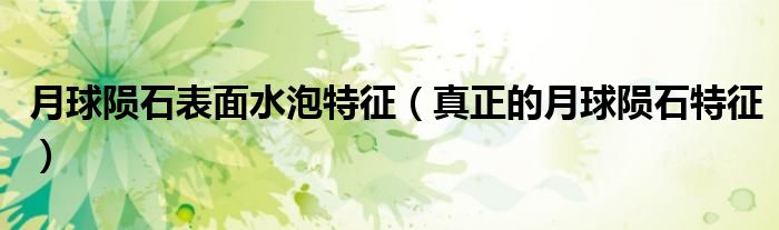 月球隕石表面水泡特征（真正的月球隕石特征）