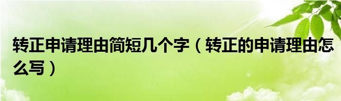 轉(zhuǎn)正申請(qǐng)理由簡短幾個(gè)字（轉(zhuǎn)正的申請(qǐng)理由怎么寫）