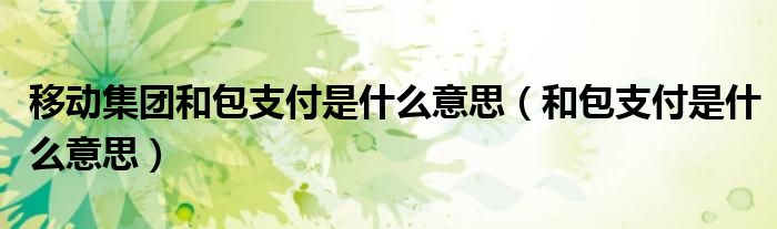 移動集團(tuán)和包支付是什么意思（和包支付是什么意思）