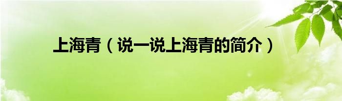 上海青（說一說上海青的簡(jiǎn)介）