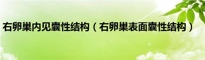 右卵巢內(nèi)見囊性結(jié)構(gòu)（右卵巢表面囊性結(jié)構(gòu)）
