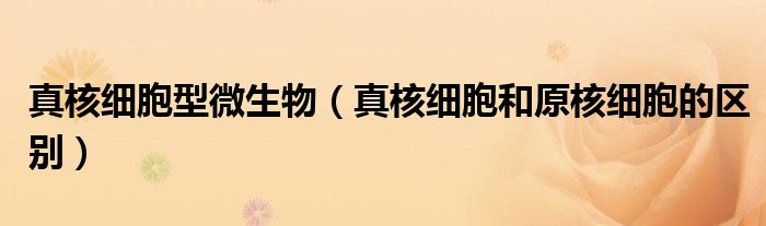 真核細胞型微生物（真核細胞和原核細胞的區(qū)別）