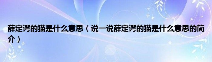 薛定諤的貓是什么意思（說(shuō)一說(shuō)薛定諤的貓是什么意思的簡(jiǎn)介）