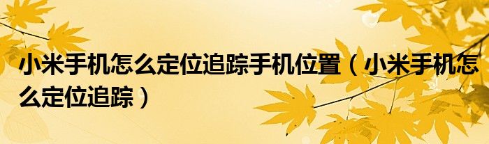 小米手機(jī)怎么定位追蹤手機(jī)位置（小米手機(jī)怎么定位追蹤）