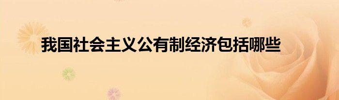 我國社會主義公有制經(jīng)濟包括哪些