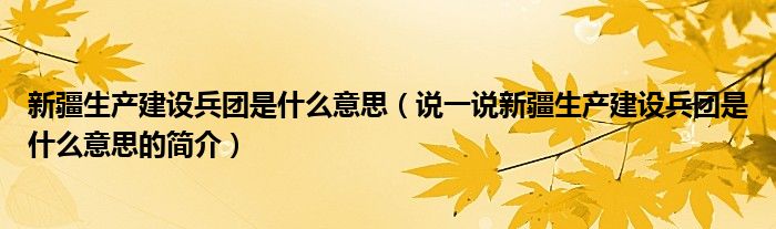 新疆生產(chǎn)建設(shè)兵團(tuán)是什么意思（說一說新疆生產(chǎn)建設(shè)兵團(tuán)是什么意思的簡(jiǎn)介）