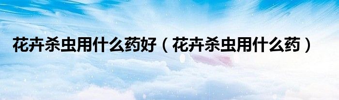 花卉殺蟲用什么藥好（花卉殺蟲用什么藥）