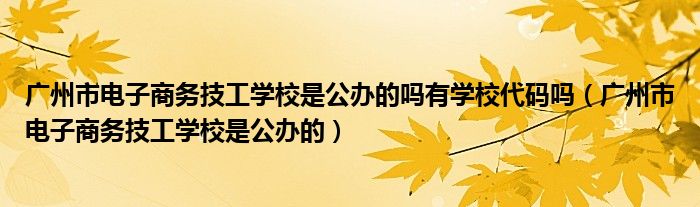 廣州市電子商務(wù)技工學(xué)校是公辦的嗎有學(xué)校代碼嗎（廣州市電子商務(wù)技工學(xué)校是公辦的）