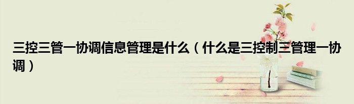 三控三管一協(xié)調(diào)信息管理是什么（什么是三控制三管理一協(xié)調(diào)）