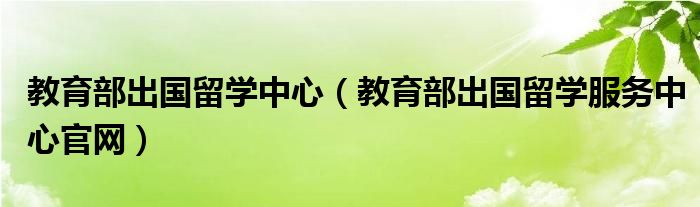 教育部出國(guó)留學(xué)中心（教育部出國(guó)留學(xué)服務(wù)中心官網(wǎng)）
