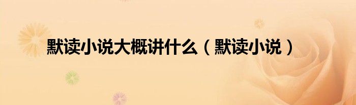 默讀小說大概講什么（默讀小說）