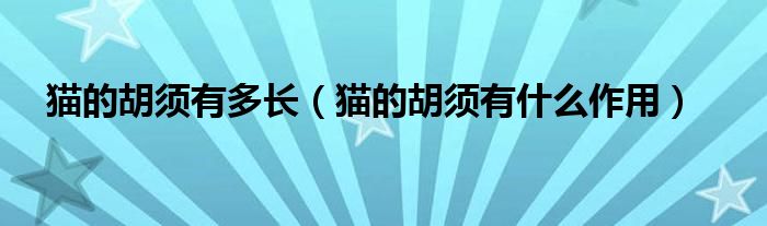 貓的胡須有多長(zhǎng)（貓的胡須有什么作用）