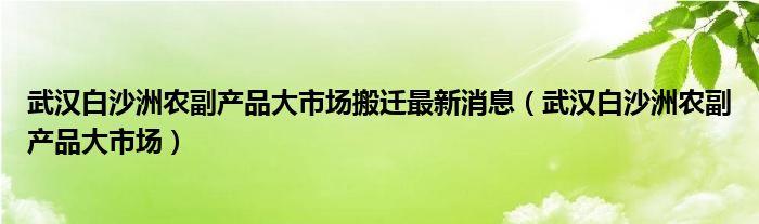 武漢白沙洲農(nóng)副產(chǎn)品大市場搬遷最新消息（武漢白沙洲農(nóng)副產(chǎn)品大市場）