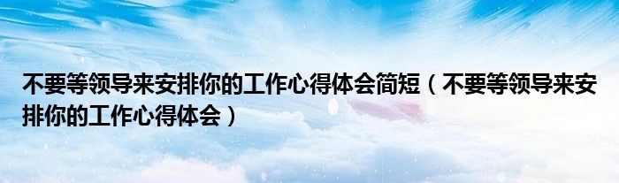 不要等領(lǐng)導(dǎo)來(lái)安排你的工作心得體會(huì)簡(jiǎn)短（不要等領(lǐng)導(dǎo)來(lái)安排你的工作心得體會(huì)）