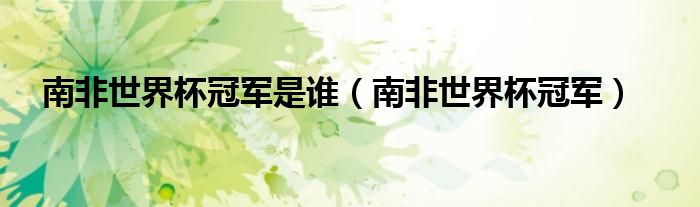 南非世界杯冠軍是誰（南非世界杯冠軍）