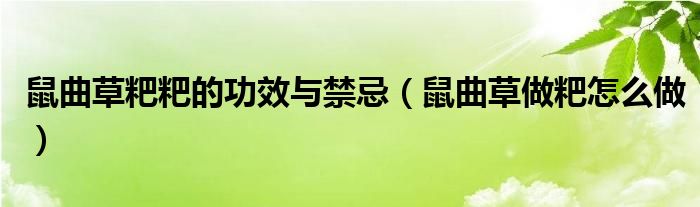 鼠曲草粑粑的功效與禁忌（鼠曲草做粑怎么做）