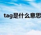 tag是什么意思解釋一下（tag是什么意思）