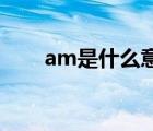 am是什么意思啊（AM是什么意思）