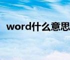 word什么意思英文翻譯（word什么意思）