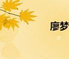 廖夢醒李湄（廖夢醒）