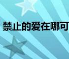禁止的愛在哪可以看到（求禁止的愛百度云）