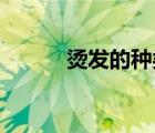 燙發(fā)的種類 女生（燙發(fā)的種類）