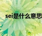 sei是什么意思網絡詞語（sei是什么意思）