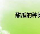 甜瓜的種類和區(qū)別（甜瓜的種類）
