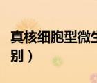 真核細(xì)胞型微生物（真核細(xì)胞和原核細(xì)胞的區(qū)別）
