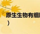 原生生物有細(xì)胞壁嗎?（原生生物有細(xì)胞壁嗎）