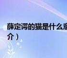 薛定諤的貓是什么意思（說一說薛定諤的貓是什么意思的簡介）