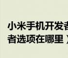 小米手機(jī)開發(fā)者選項(xiàng)在哪里面（小米手機(jī)開發(fā)者選項(xiàng)在哪里）