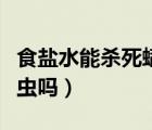 食鹽水能殺死螨蟲嗎（濃鹽水和酒精能殺死螨蟲嗎）