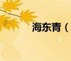 海東青（說(shuō)一說(shuō)海東青的簡(jiǎn)介）