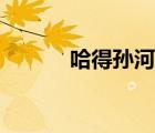 哈得孫河畫派（哈得孫河奇跡）