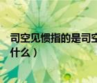 司空見慣指的是司空見慣了什么（司空見慣是指司空見慣了什么）