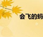 會(huì)飛的螞蟻圖片（會(huì)飛的螞蟻）