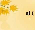 al（說(shuō)一說(shuō)al的簡(jiǎn)介）