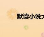 默讀小說大概講什么（默讀小說）