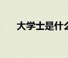 大學(xué)士是什么官職（大學(xué)士是什么官）